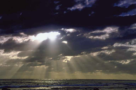 Rapture